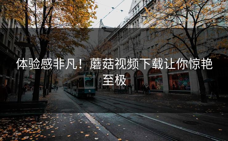体验感非凡！蘑菇视频下载让你惊艳至极