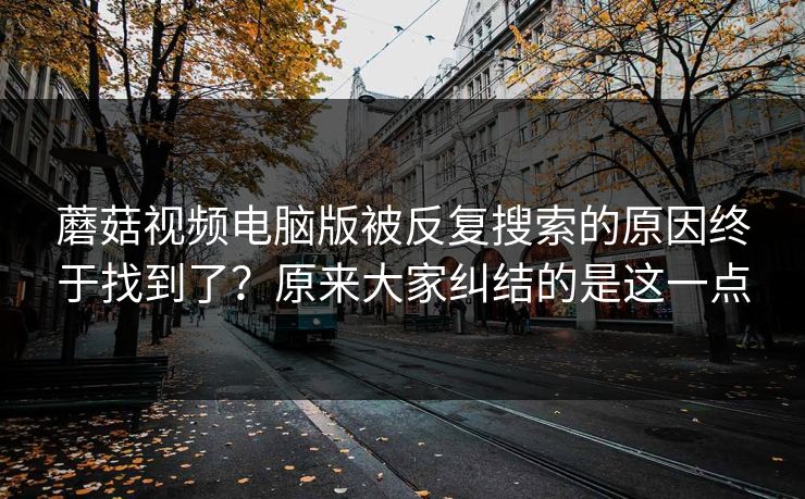 蘑菇视频电脑版被反复搜索的原因终于找到了？原来大家纠结的是这一点
