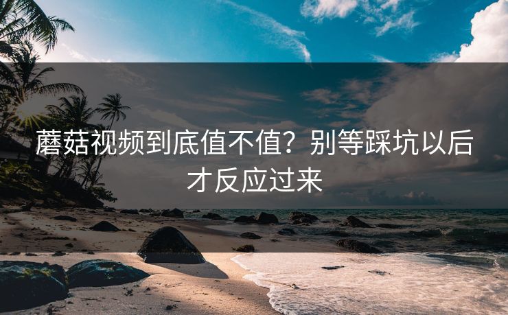 蘑菇视频到底值不值？别等踩坑以后才反应过来