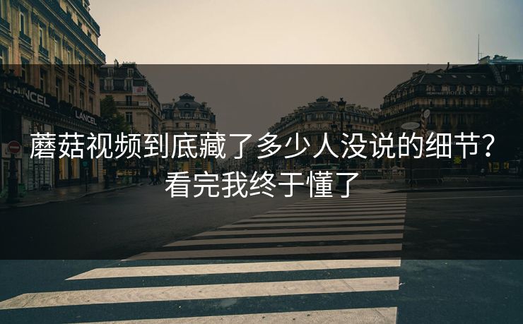 蘑菇视频到底藏了多少人没说的细节？看完我终于懂了