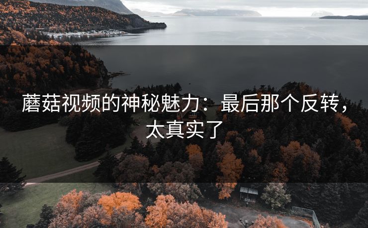 蘑菇视频的神秘魅力：最后那个反转，太真实了