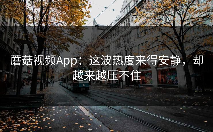蘑菇视频App：这波热度来得安静，却越来越压不住