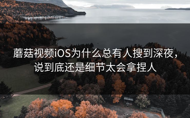蘑菇视频iOS为什么总有人搜到深夜，说到底还是细节太会拿捏人