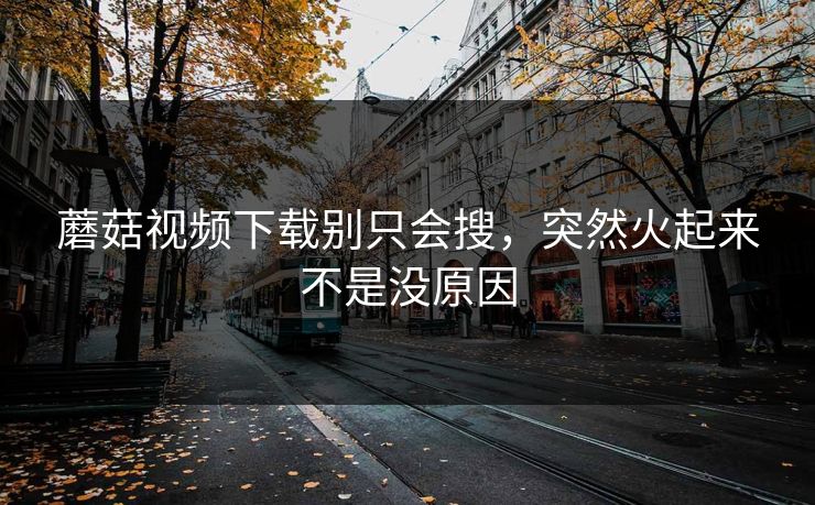 蘑菇视频下载别只会搜，突然火起来不是没原因