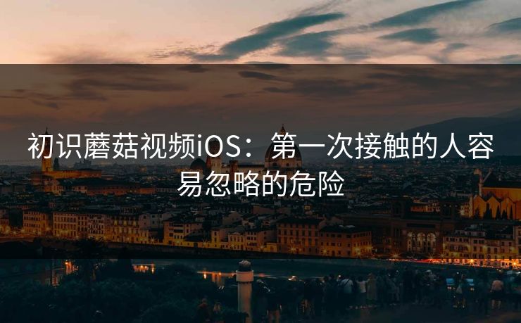 初识蘑菇视频iOS：第一次接触的人容易忽略的危险